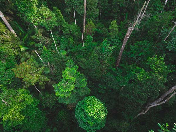 Conheça as Iniciativas da Amazon Brasil na Economia Circular