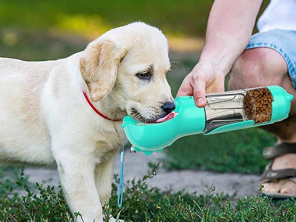 Garrafa de Água Portátil e Multifuncional para seus Pets