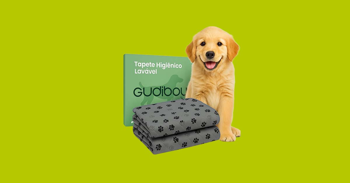 Top 3 Melhores Tapetes Higiênicos Laváveis Para Cães
